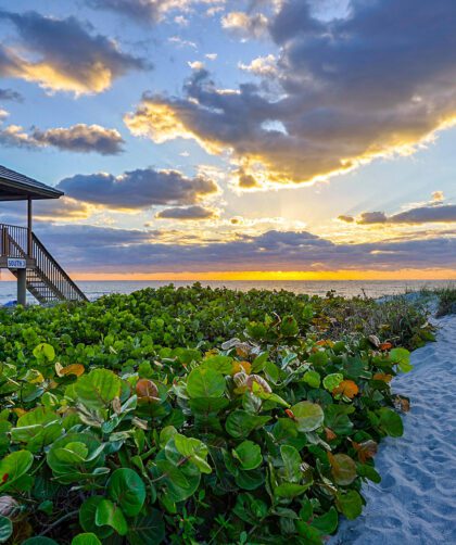 Award-winning Delray Beach is a location that retains a coastal village feel, while also providing plenty to experience, indulge, and explore.