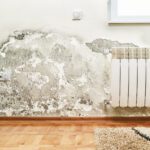 We take a look at how to prevent mold and mildew from growing inside your home. Check out our tips for practical advice you can use around your home today.