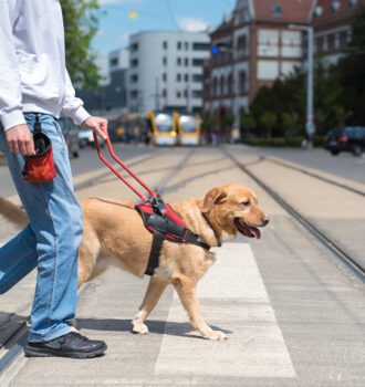 What should you know about emotional support dog certification, and what are the requirements? Read this guide for helpful tips on getting started.