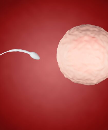 What is the IVF treatment cost in Dubai?