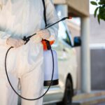 Pests can become quite a nuisance in your Phoenix home. Here's why it's important to get regular Phoenix AZ pest control services.
