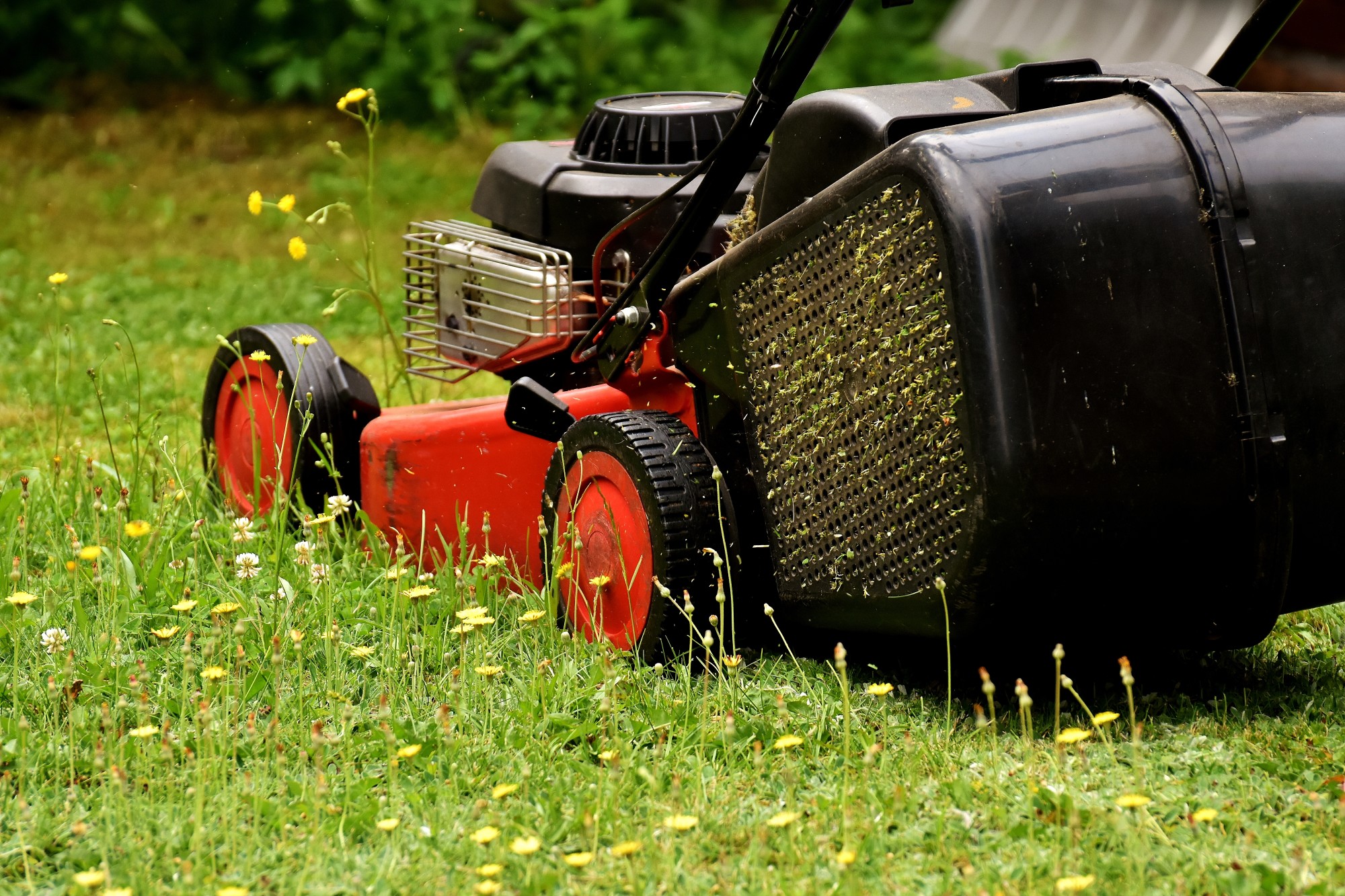 Are you tired of a lackluster lawn? Follow these best practices for lawn mowing to achieve a healthy, green lawn that will be the envy of the neighborhood.