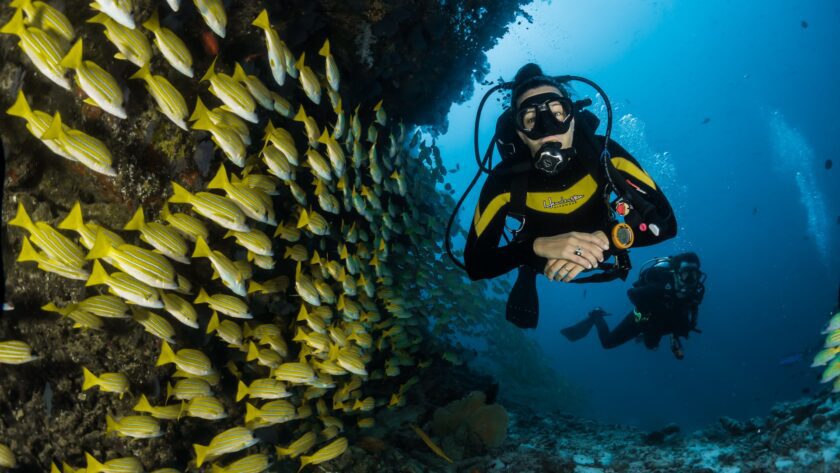 The Ultimate Guide to Scuba Diving - Everything You Need to Know
